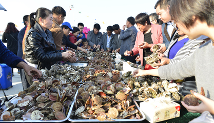 山東榮成俚島首屆鮑魚節(jié)盛大開幕 漁業(yè)生態(tài)美名遠(yuǎn)揚(yáng)